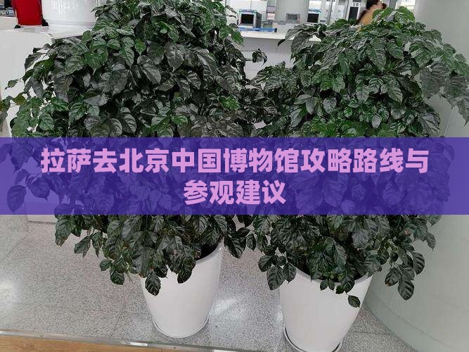 拉萨去北京中国国家博物馆攻略