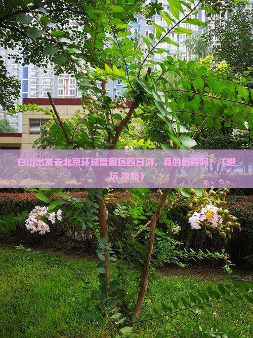白山去北京环球度假区四日游