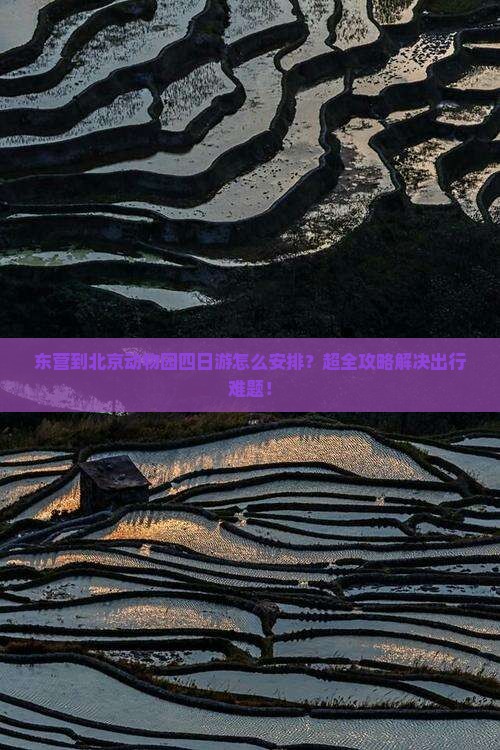 东营到北京动物园四日游