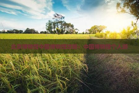百色到北京中国国家博物馆个人游 百色到北京中国国家博物馆个人游