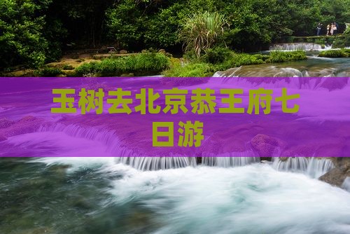玉树去北京恭王府七日游