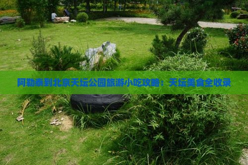 阿勒泰到北京天坛公园旅游小吃 阿勒泰到北京天坛公园旅游小吃