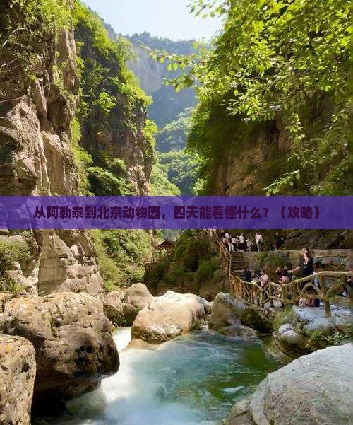 阿勒泰到北京动物园四日游