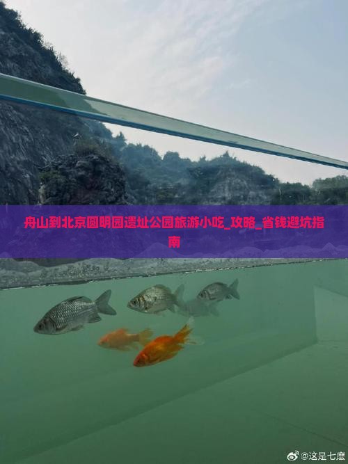 舟山到北京圆明园遗址公园旅游小吃