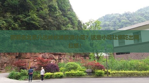 邯郸去北京八达岭长城旅游小吃