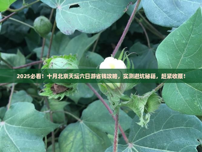 十月去北京天坛公园六日游