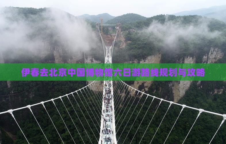伊春去北京中国国家博物馆六日游