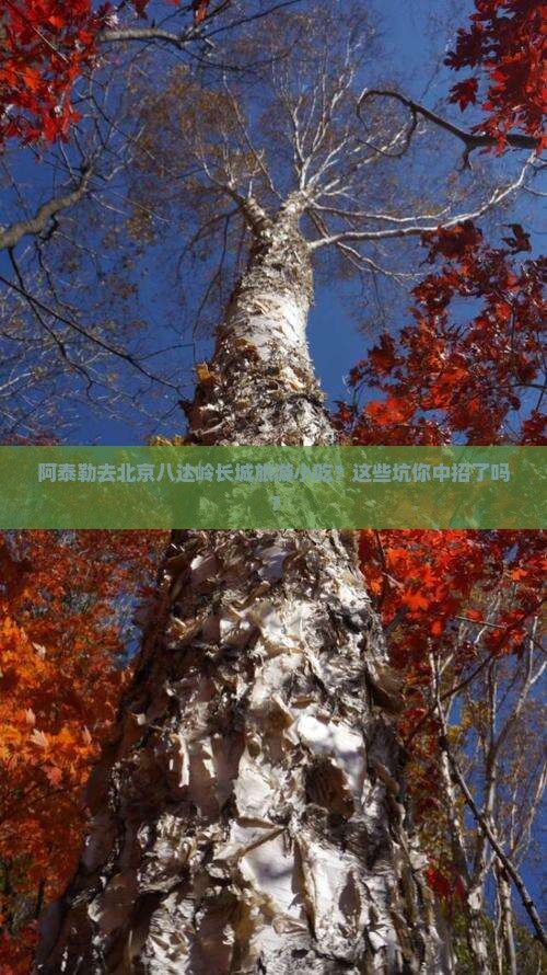 阿泰勒去北京八达岭长城旅游小吃