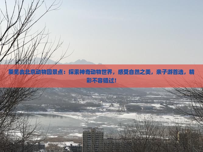莱芜去北京动物园景点