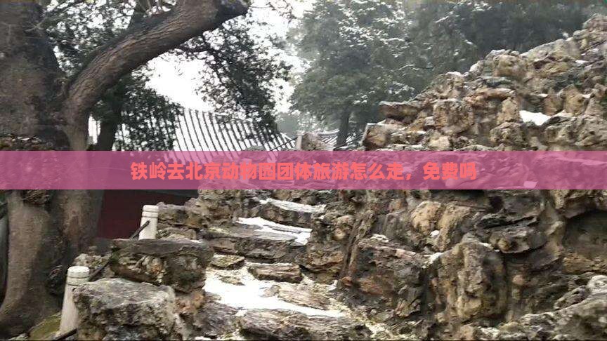 铁岭去北京动物园团体旅游