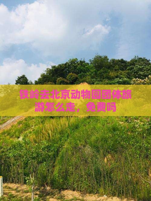 铁岭去北京动物园团体旅游