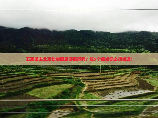 五家渠去北京动物园旅游