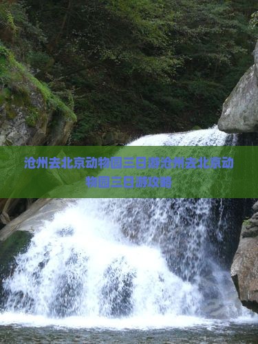 沧州去北京动物园三日游