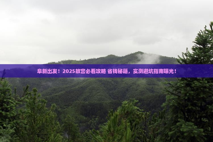 阜新到北京故宫博物院个人游
