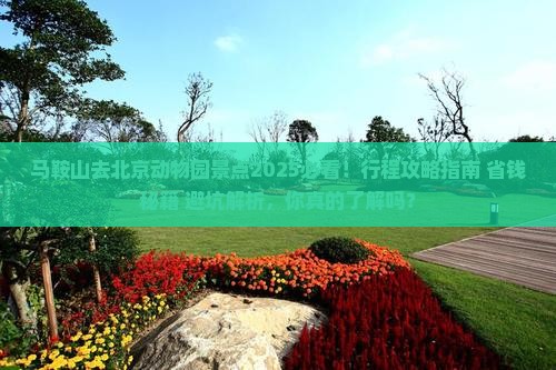 马鞍山去北京动物园景点