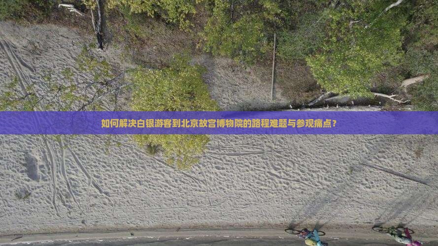 如何解决白银游客到北京故宫博物院的路程难题与参观痛点？