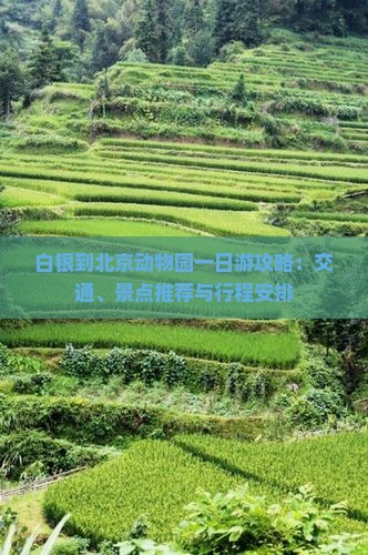 白银到北京动物园一日游攻略：交通、景点推荐与行程安排