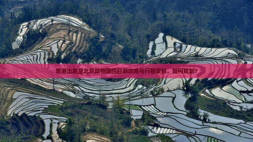 贵港出发至北京动物园四日游攻略与行程安排，如何规划？