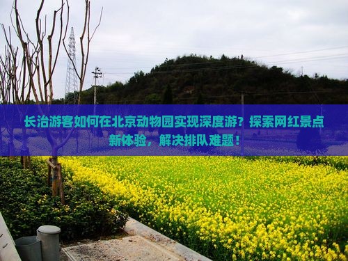 长治游客如何在北京动物园实现深度游？探索网红景点新体验，解决排队难题！