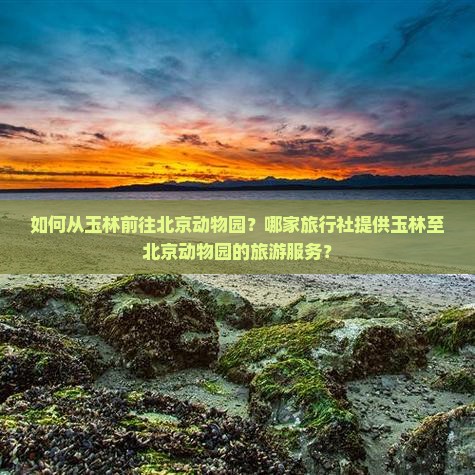 如何从玉林前往北京动物园？哪家旅行社提供玉林至北京动物园的旅游服务？