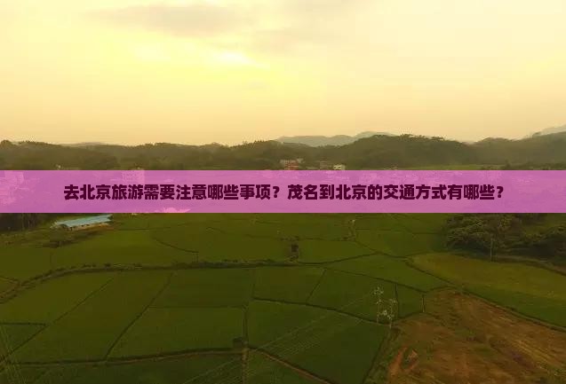 去北京旅游需要注意哪些事项？茂名到北京的交通方式有哪些？
