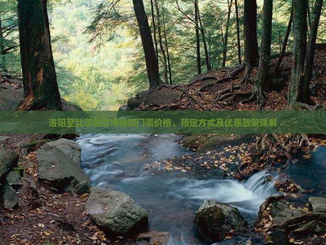 洛阳至北京故宫博物院门票价格、预定方式及优惠政策详解