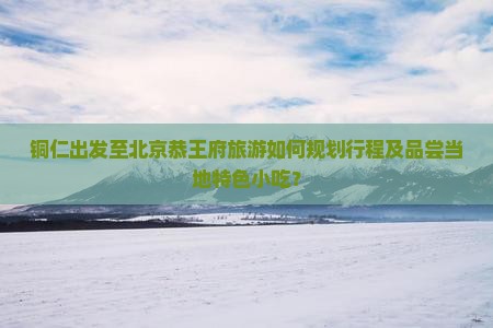 铜仁出发至北京恭王府旅游如何规划行程及品尝当地特色小吃？