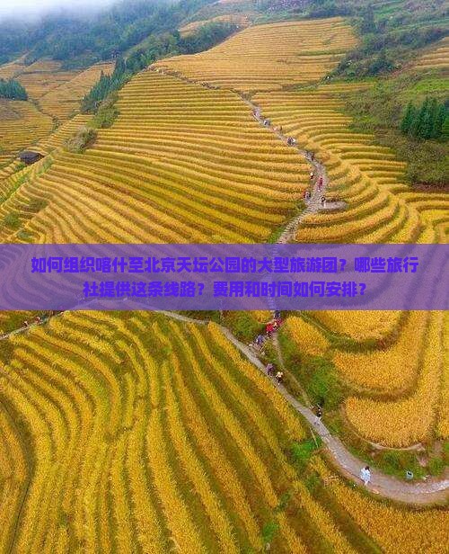 如何组织喀什至北京天坛公园的大型旅游团？哪些旅行社提供这条线路？费用和时间如何安排？
