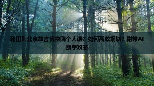 和田到北京故宫博物院个人游？如何高效规划？附带AI助手攻略