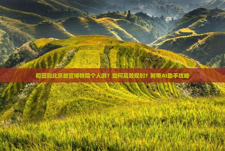 和田到北京故宫博物院个人游？如何高效规划？附带AI助手攻略