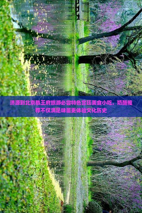 济源到北京恭王府旅游必尝特色宫廷美食小吃，奶酪推荐不仅满足味蕾更体验文化历史