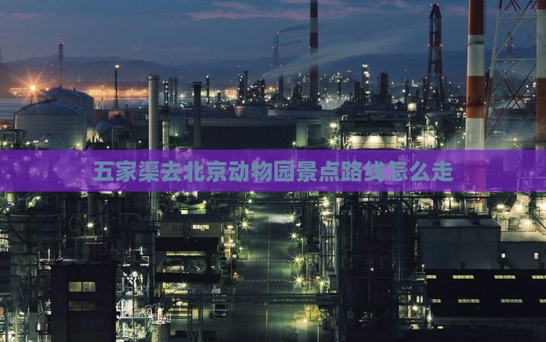 五家渠去北京动物园景点路线怎么走