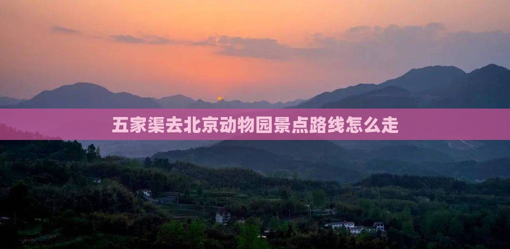 五家渠去北京动物园景点路线怎么走
