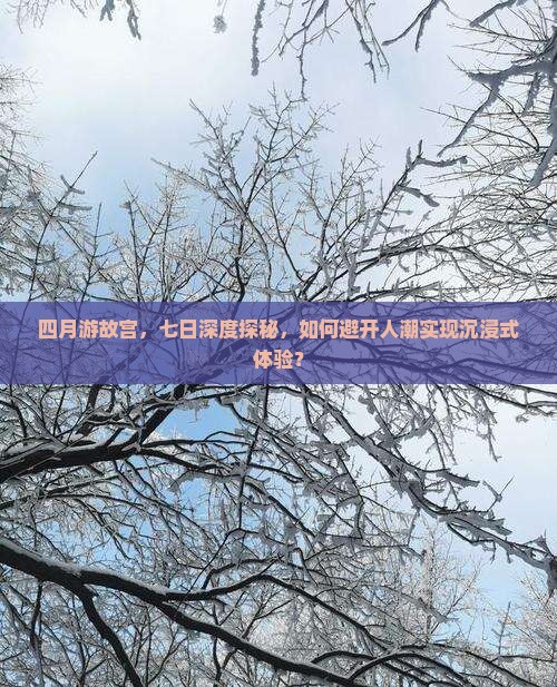 四月游故宫，七日深度探秘，如何避开人潮实现沉浸式体验？