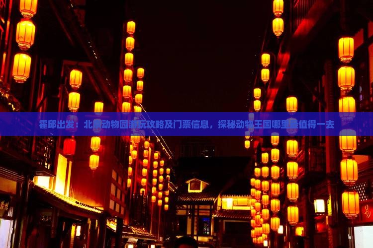 霍邱出发：北京动物园游玩攻略及门票信息，探秘动物王国哪里最值得一去