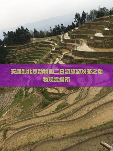 安康到北京动物园二日游旅游攻略之动物观赏指南