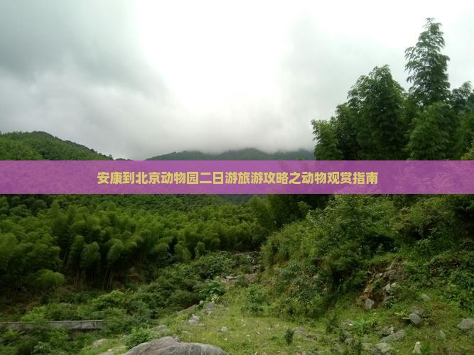 安康到北京动物园二日游旅游攻略之动物观赏指南