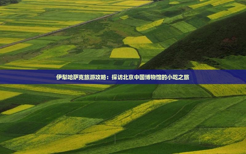 伊犁哈萨克旅游攻略：探访北京中国博物馆的小吃之旅