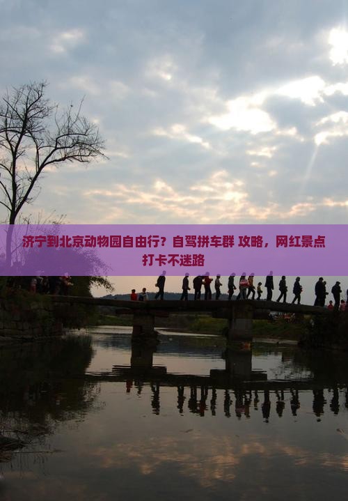 济宁到北京动物园自由行？自驾拼车群+攻略，网红景点打卡不迷路