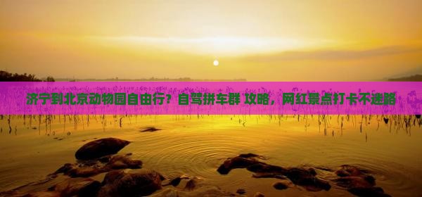 济宁到北京动物园自由行？自驾拼车群+攻略，网红景点打卡不迷路