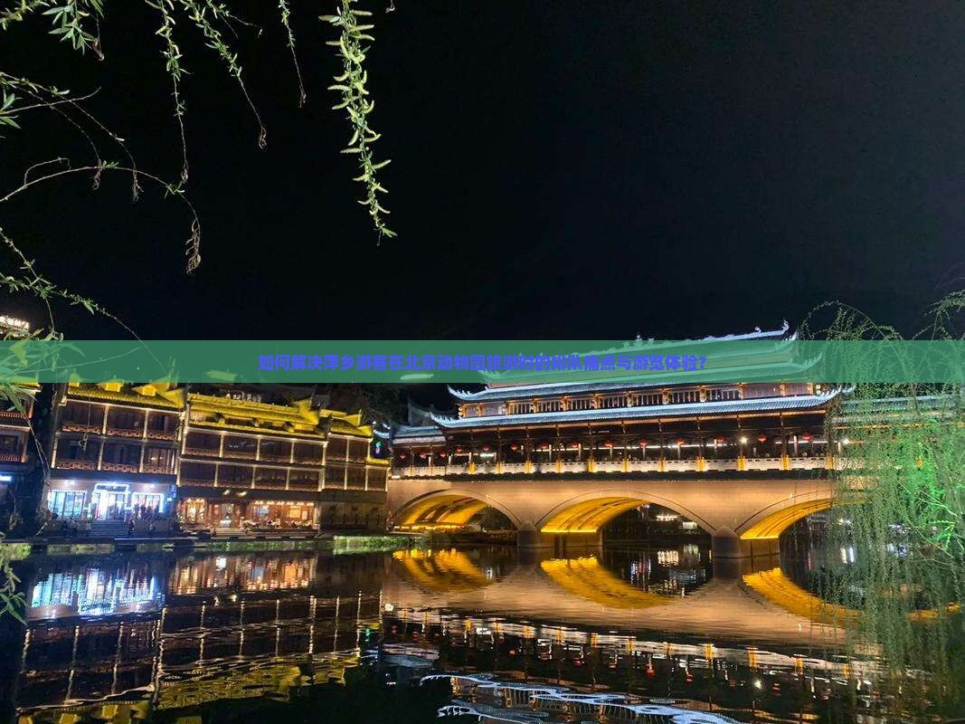 如何解决萍乡游客在北京动物园旅游时的排队痛点与游览体验？