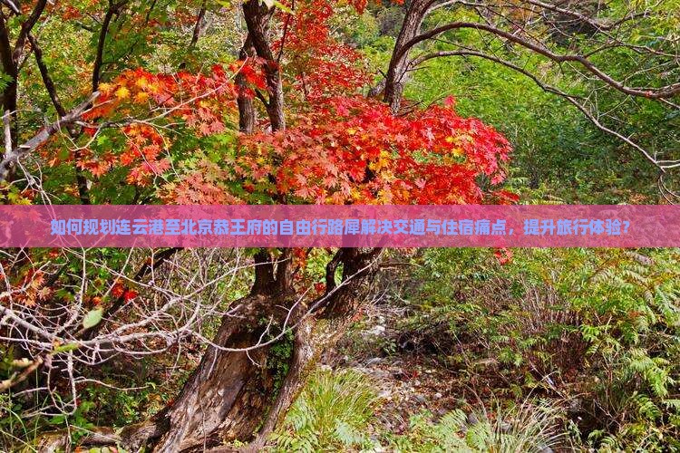 如何规划连云港至北京恭王府的自由行路犀解决交通与住宿痛点，提升旅行体验？