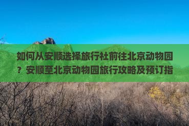 如何从安顺选择旅行社前往北京动物园？安顺至北京动物园旅行攻略及预订指南