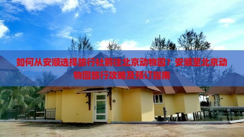 如何从安顺选择旅行社前往北京动物园？安顺至北京动物园旅行攻略及预订指南