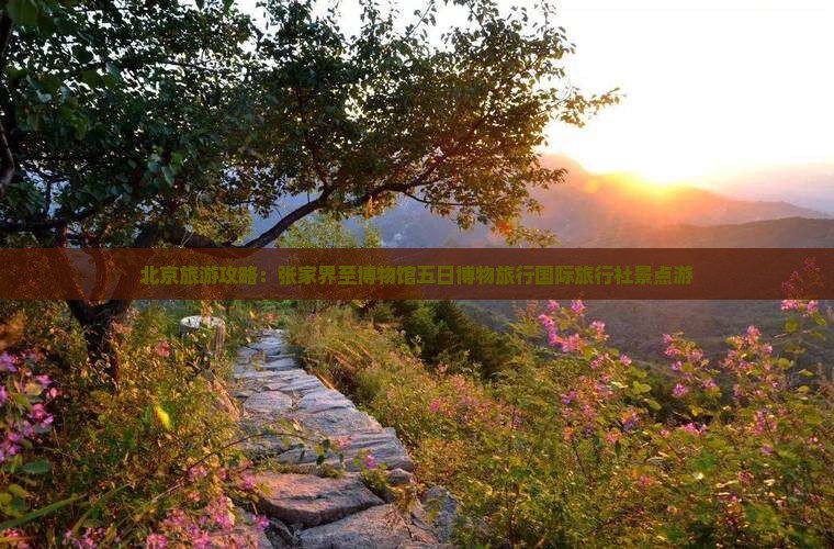 北京旅游攻略：张家界至博物馆五日博物旅行国际旅行社景点游