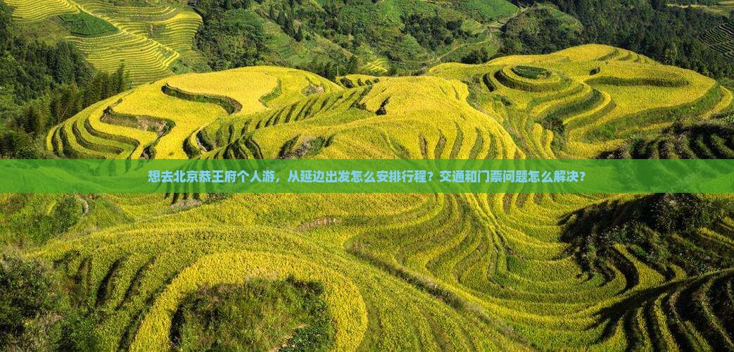 想去北京恭王府个人游，从延边出发怎么安排行程？交通和门票问题怎么解决？