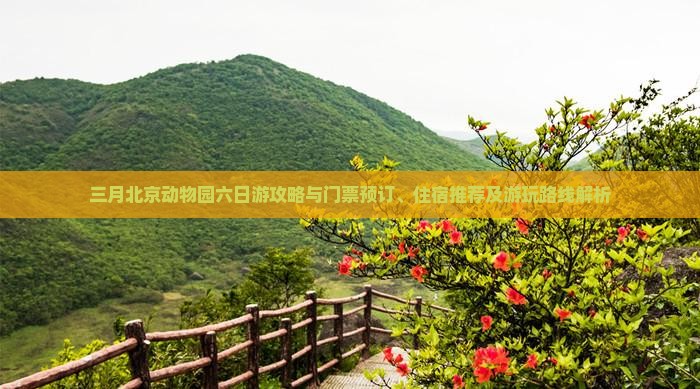 三月北京动物园六日游攻略与门票预订、住宿推荐及游玩路线解析