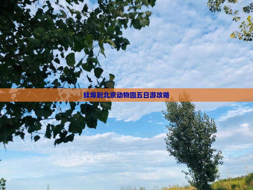 蚌埠到北京动物园五日游攻略