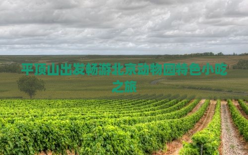 平顶山出发畅游北京动物园特色小吃之旅