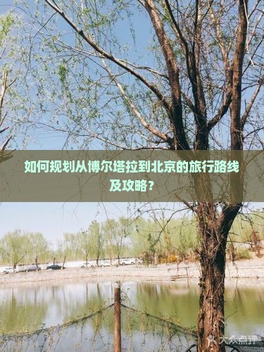 如何规划从博尔塔拉到北京的旅行路线及攻略？